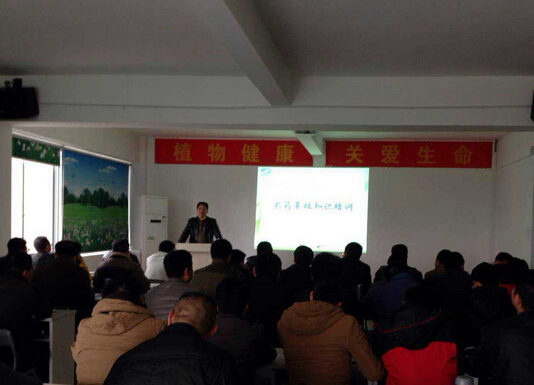 植?；A(chǔ)知識(shí)培訓(xùn)